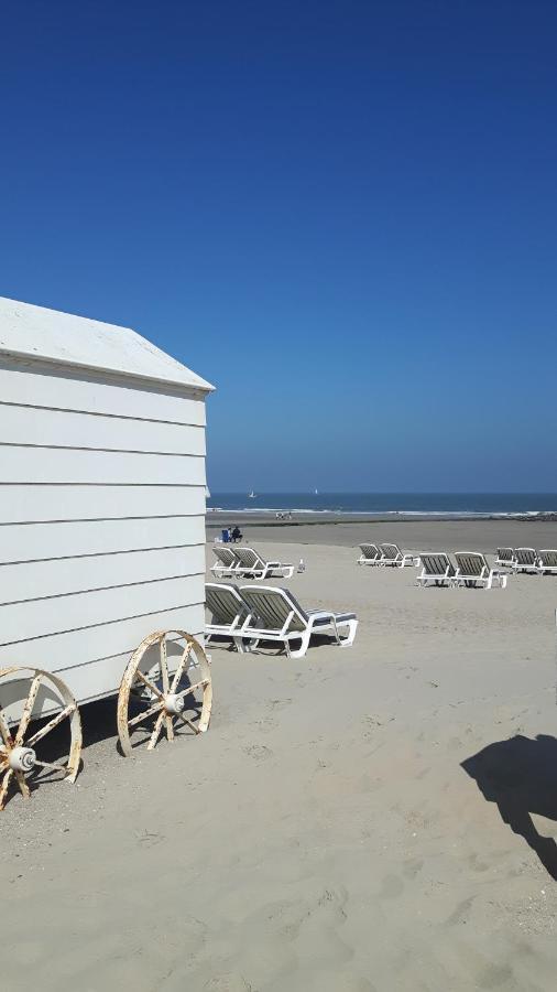 Scarphout Genieten Aan Zee Lägenhet Blankenberge Exteriör bild